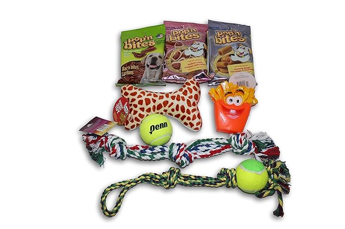 Good Dog Care Package New Pet Gift box