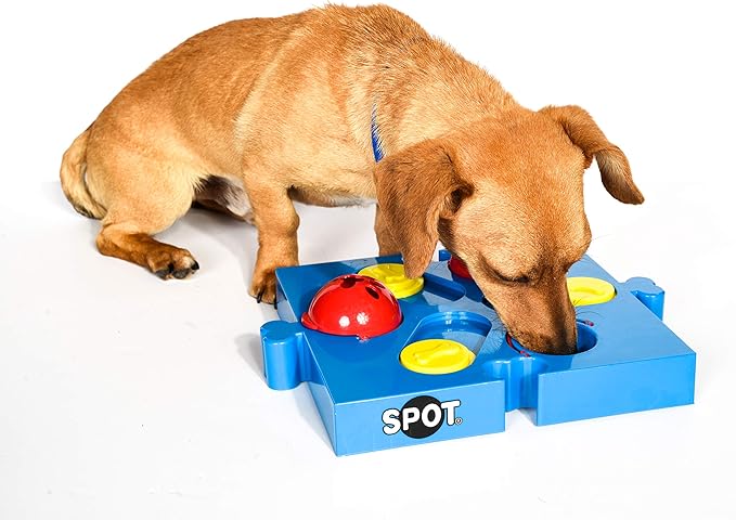 SPOT by Ethical Products Interactive Seek-A-Treat Flip 'N' Slide Dog Toy Puzzle | Dog Treat Reward Toy Connector Puzzle Improves Your Dog's IQ | Specially Designed for Training Treats