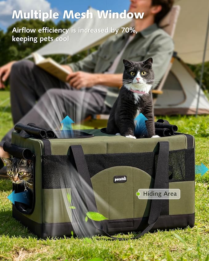 Pecute Cat Carrier for 2 Cats,Dual Cabin Multi Cat Travel Carrier with Removable Divider and Sturdy Frame,Collapsible,Soft,can Hold 20lbs+ for 2 Small Kitten,Medium Dog,Extra Large for Travel,Green