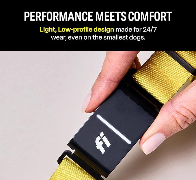 Fi Series 3 Smart Dog Collar - GPS Dog Tracker and Activity & Fitness Monitor, Waterproof, LED Light, Escape Alerts, Nationwide Coverage [Free 1 Year Membership] (Gray, Medium)