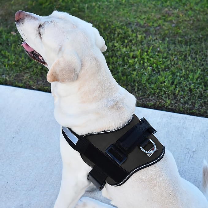 Dogline Dog Harness, Reflective No-Pull Adjustable Vest with Handle for Walking, Training, Breathable, No - Choke Harness for Small, Medium or Large Dogs Room for Patches Girth 22"-28" in Black
