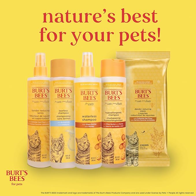 BURT'S BEES FOR PETS Cat Dander Remover Wipes, Unscented Soft Grooming Cloths with Colloidal Oat Flour + Aloe, Helps Reduce Flaking Between Baths for Cats & Kittens, 50 Count - Pack