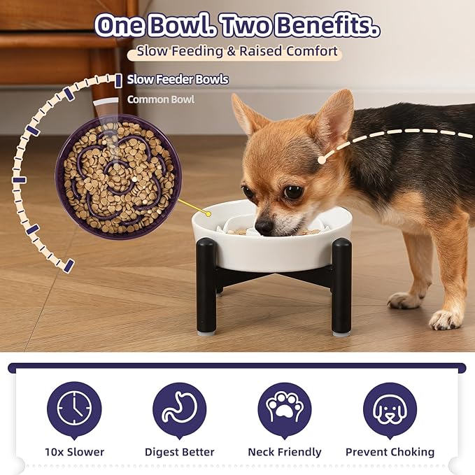 Elevated Slow Feeder Dog Bowl - Ceramic Maze Dog Food Bowl with Stainless Stand - Raised Slow Feeder for Small Breeds to Control Eating Speed - 6.3 Inch - 0.8 Cups (80g) - Pink