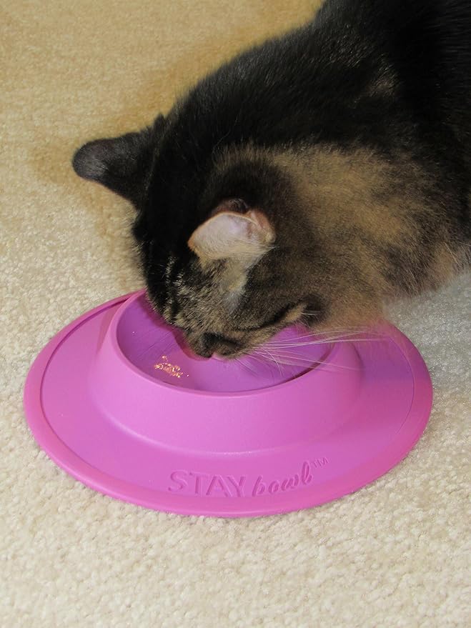 Pet Food and Water Bowl for Cats, Toy Breed Dogs, Bearded Dragons, Turtles, and Small Pets (3/4 Cup in Four Colors (Sky Blue)