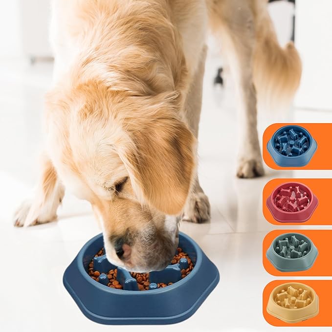 2 PCS Slow Feeder Dog Food Bowl – Bowl Designed to Slow Eating, Promotes Healthy Digestion and Prevents Bloat, Ideal for Cats and Dogs (SkyBlue - Green)