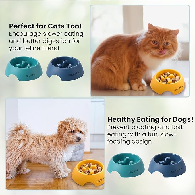 CHOMP'R Slow Feeder Dog Bowl for Small Breeds, Food Grade Interactive Puzzle Feeder, Non Slip Bowl to Slow Down Eating, Anti-Choking Mini Maze for Small Dogs Cats Puppies