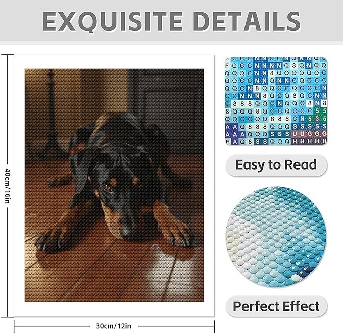 TZTTZT Diamond Art Kits for Adults - Calm Dog Resting On Wooden Floor Diamond Painting Kits for Adults Beginner, 12x16 in Frameless Diamond Painting Kit for Home Wall Decor