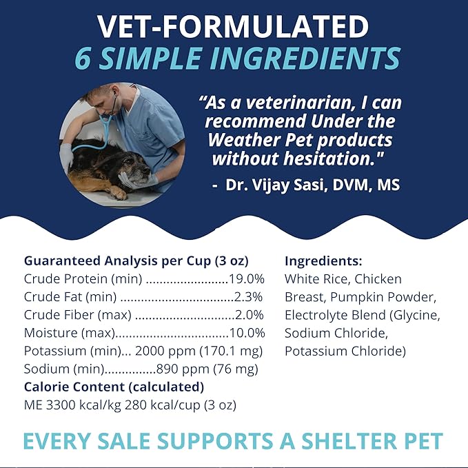 Under the Weather Bland Diet for Dogs | Easy to Digest for Sick Dogs |Always Be Ready | Contains Electrolytes - All Natural Freeze Dried 100% Human Grade Meats | 6 Pack - Rice, Chicken & Pumpkin - 6oz