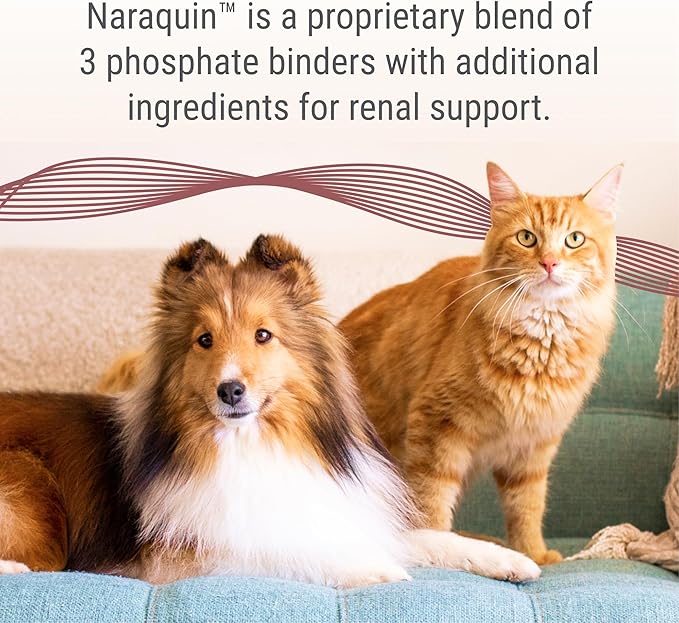 Nutramax Laboratories NARAQUIN™ Dietary Phosphate Binder + Renal Support Supplement for Cats & Dogs,60 Count (Pack of 2)