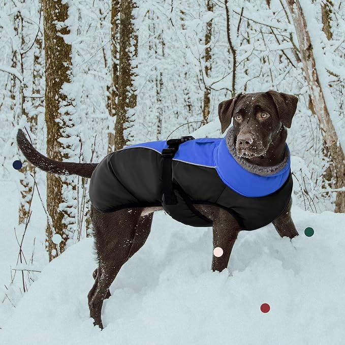 IECOii Extra Warm Reflective Adjustable Dog Jacket - Winter Coat with Buckle & Fleece Turtleneck for Small to Extra Large Dogs