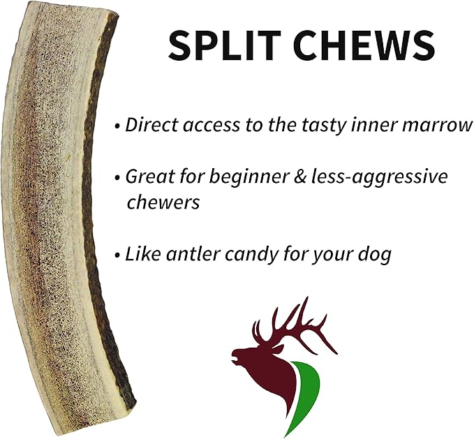 Large Split Twin Pack (for 30-50 lb Dogs) Premium Grade Elk Antlers for Dogs (2 Pieces) Sourced in The USA
