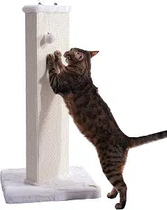 32.7 Inches Tall Cat Scratching Post with Natural Sisal Carpet,Toy (White)