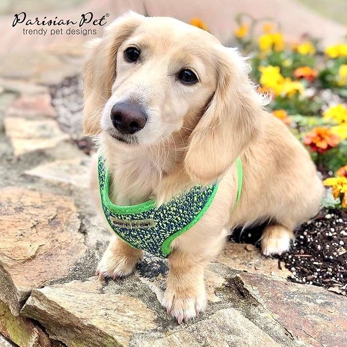 Parisian Pet Soft Padded Green/Blue Adjustable No Pull Puppy Harness - Cooling Dog Harness for Walking, Running, Hiking - Medium Size M