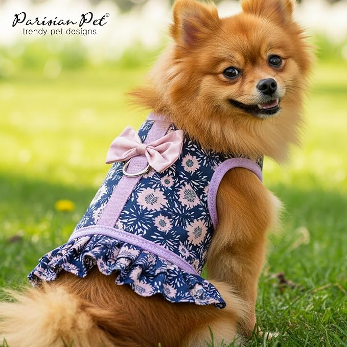 Parisian Pet Midnight Blossoms Harness Dress