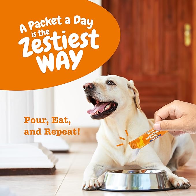 Zesty Paws 10-in-1 Dog Multivitamin - Gut, Immune, Joint, Skin & Coat Support, and More - Dog Vitamins and Supplements Powder - Pet Supplements with Omega Fish Oil & VitaFiber - Salmon - 30 Ct