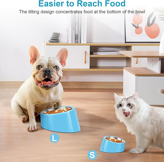 Tilted Dog Bowl Non-Slip & Non-Spill Pet Feeder with Elevated Detachable Melamine Stand, Easy to Get Food Dog Dish, L/300ml Sky Blue
