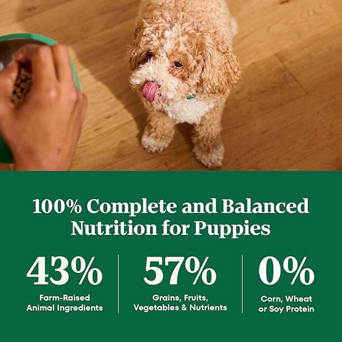 Nutro Natural Choice Large Breed Puppy Food Dry, Chicken & Brown Rice Recipe, 30 lb. Bag
