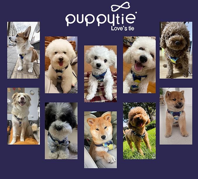 Puppytie No Pull xs Dog Harness with Multifunction Dog Leash,Soft Adjustable No Choke Escape Proof Pet Harness Vest,Suede Bow Navy,XS