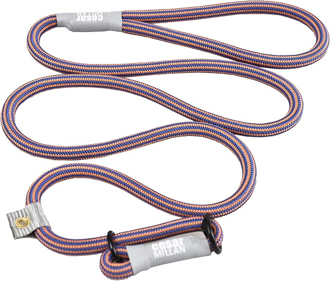 Cesar Millan Slip Lead Leash | Dog Leash | in Training Leash | (Regular, Blue/Orange)