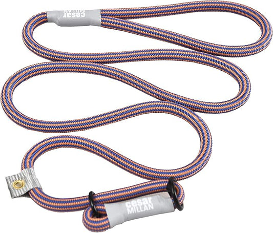 Cesar Millan Slip Lead Leash | Dog Leash | in Training Leash | (Regular, Blue/Orange)