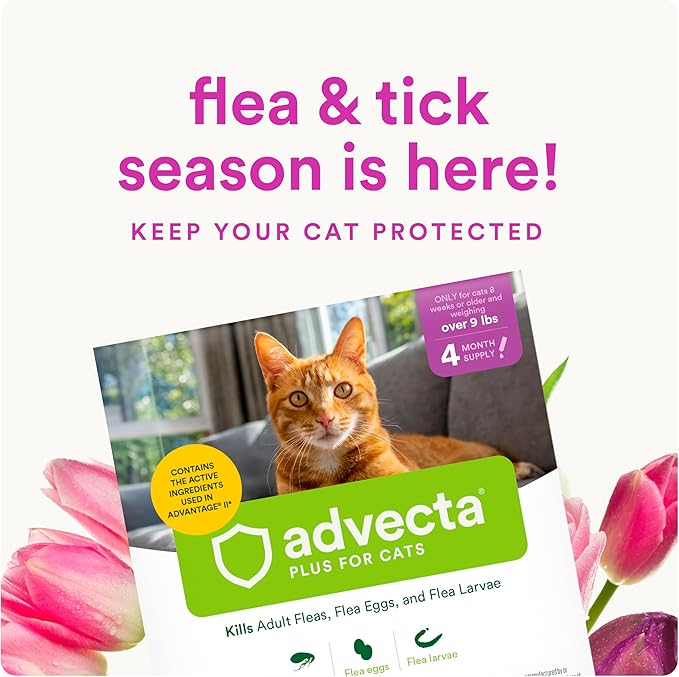 Advecta Plus Topical Large Cat Flea Treatment for Cats and Kittens, Flea Prevention and Control, Fast-Acting Waterproof Drops, 2-Month Supply