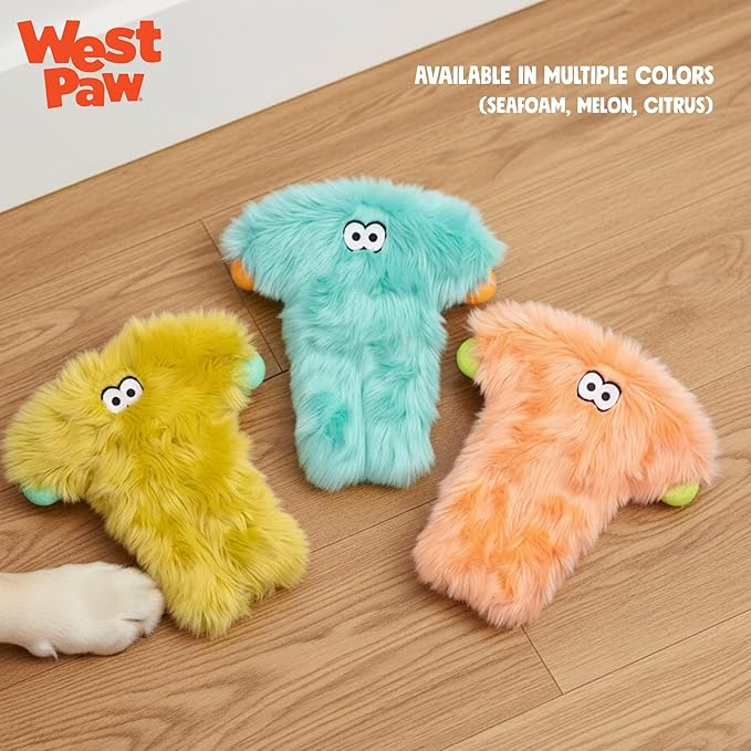 WEST PAW Rowdies Bjorn Durable Plush Dog Toy with Reinforced Seams Chew Resistant Design and Interactive Squeaker for Playtime Indoors or Outdoors Bundle for Dogs Who Deserve the Best - Citrus