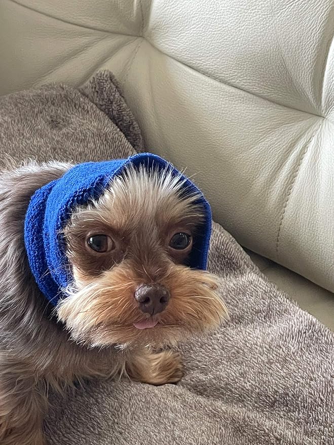 Pet Hoodz PHSB Pet Hoodies, Blue - Small