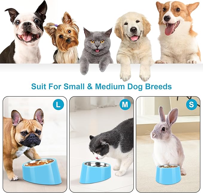 Tilted Dog Bowl Non-Slip & Non-Spill Pet Feeder with Elevated Detachable Melamine Stand, Easy to Get Food Dog Dish, S/100ml Sky Blue