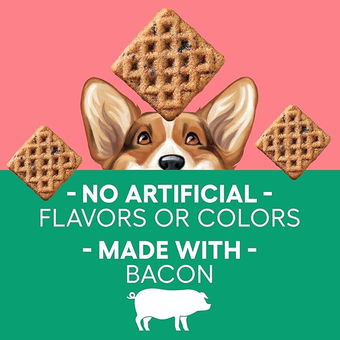Newman's Own Bacon & Berry Woofles Waffle Dog Treats, 10 oz Bag — Soft & Chewy Waffles, No Artificial Flavors or Colors, Wholesome Training Rewards, Made in USA