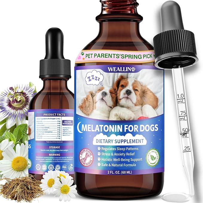 Melatonin for Dogs with L-Theanine & Chamomile | Anxiety Relief & Calming, Relaxation & Sleep Support Liquid Dog Melatonin | Fast-Absorbing & Bacon Flavor (1 PC)