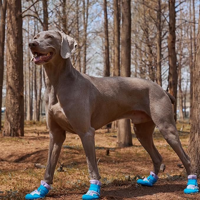 Dog Shoes, Waterproof Dog Booties Paw Protector for Hot Pavement, Snowy Day, Outdoor Walking Skip-Proof Dog Shoes Blue 2.6in L