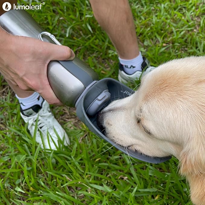Stainless Steel Dog Travel Water Bottle — 27oz, Portable Bowl, Walking & Hiking (Grey)