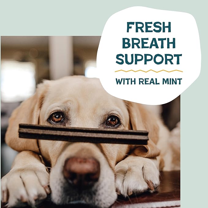 Shameless Pets Dental Treats for Dogs, Banana Bone-Anza - Healthy Dental Sticks with Hip & Joint Support for Teeth Cleaning & Fresh Breath - Chews Free from Grain, Corn & Soy