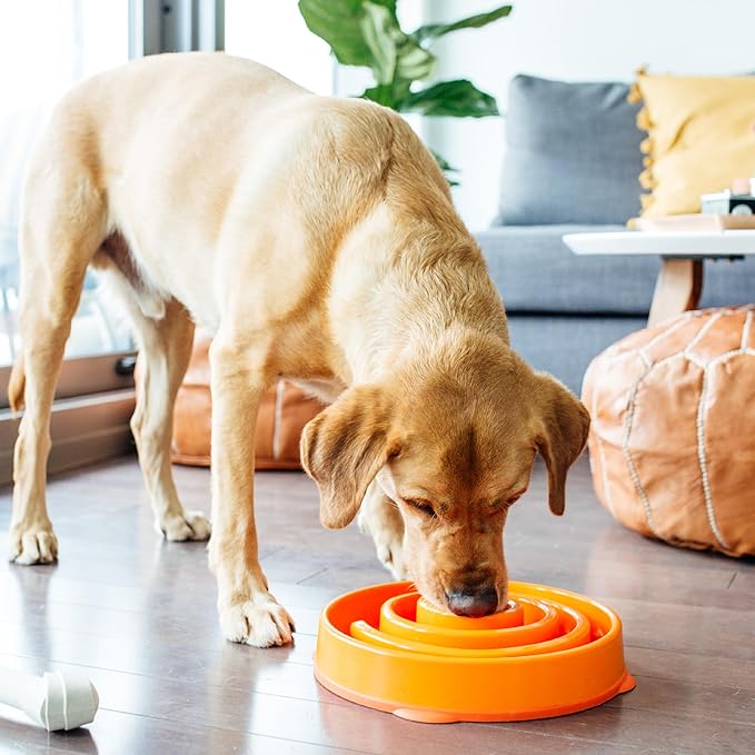 Outward Hound Slow Feeder Dog Bowl – Prevents Bloating & Fast Eating – Large 4 Cup Orange Swirl