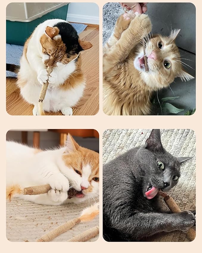 Tocirelo Cat Toys for Indoor Cats & Silvervine Sticks for Cats