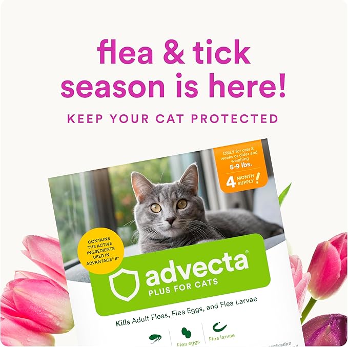 Advecta Plus Topical Flea Treatment for Cats and Kittens, Flea Prevention and Control, Small & Large, Fast-Acting Waterproof Drops, 4-Month Supply