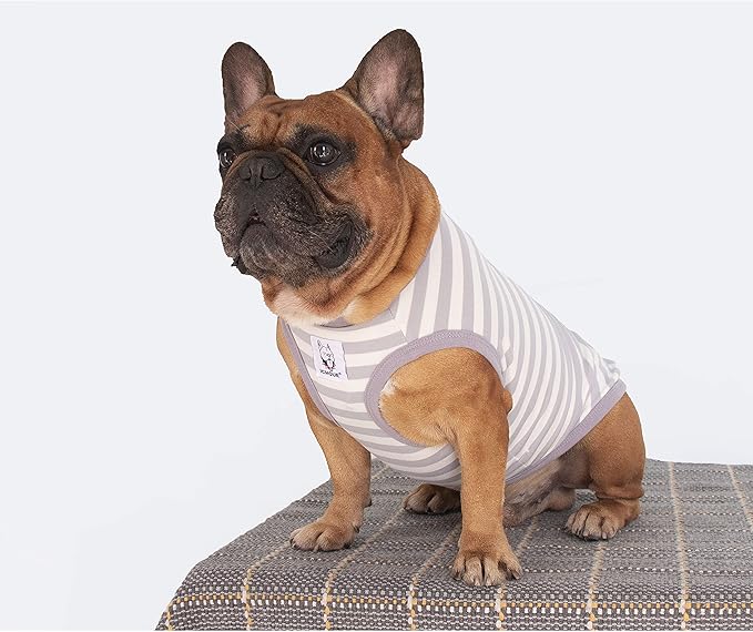 iChoue French Bulldog 100% Breathable Cotton Striped T Shirts Halloween Vest Clothes for Small Dogs Tank Tops Puppy Frenchie Pug English Boston Terrier Pitbull Grey White Stripes - Medium