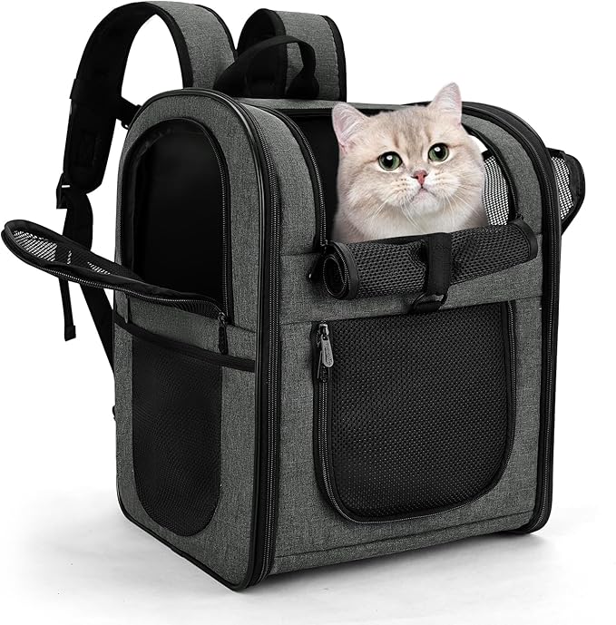 Apollo Walker Pet Carrier Backpack for 4-18lb Cats and Dogs, Puppies, Safety Features and Cushion Back Support | for Travel, Hiking, Outdoor Use (Gray)