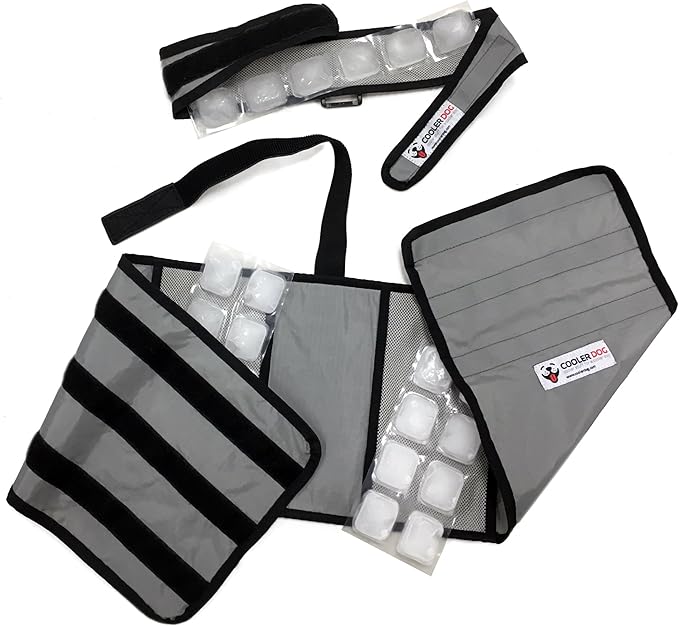 CoolerDog Dog Cooling Vest and Cooling Collar - Ice Vest for Dogs Large (27" to 34" Girth)