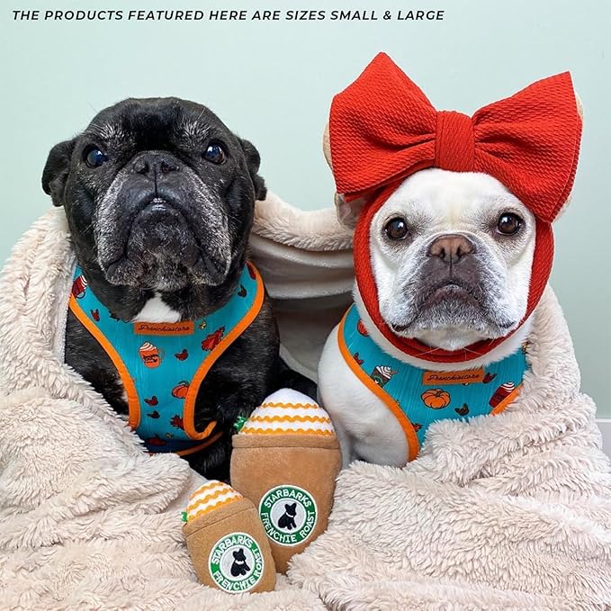 Haute Diggity Dog Starbarks Frappawcino, Plush Designer Dog Toys with Interactive Squeaker, Stimulating Pet Enrichment, Machine-Washable & Safe Materials for All Breeds, Size Large