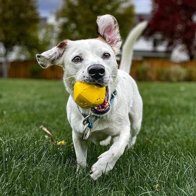 PROJECT HIVE ·PET COMPANY· - Hive Ball - Dog Balls - Toy for Large and Medium Breeds - Great for Fetch - Floats in Water - Durable and Tough for Aggressive chewers - Made in The USA