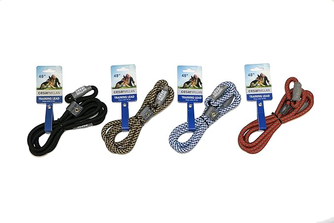 Cesar Millan Slip Lead Leash™ - 2-in-1 Slip Collar Dog Training Lead & Collar | Heavy Duty Durable Weatherproof Rope Leash, No Pull Training | Length 4ft Diameter 4/10”(Regular, Grey)