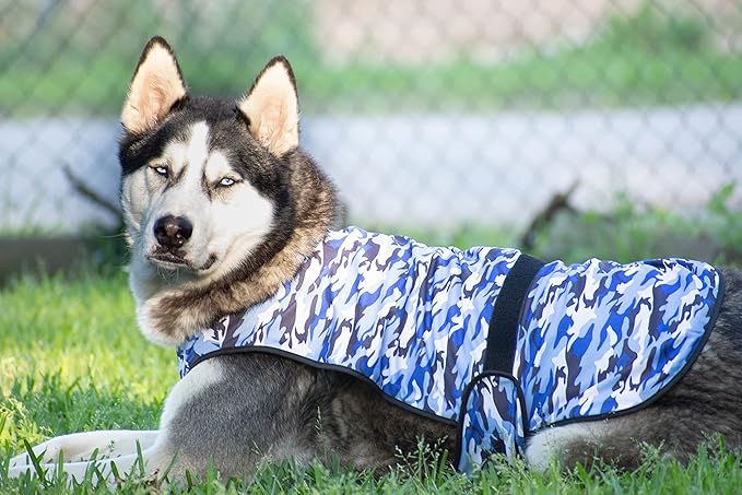 Dog Cooling Vest - 2-Layer Lightweight Performance - UPF50+ Full Coverage & Adjustable Fit for Small to Large Dogs (Blue, X-Large)