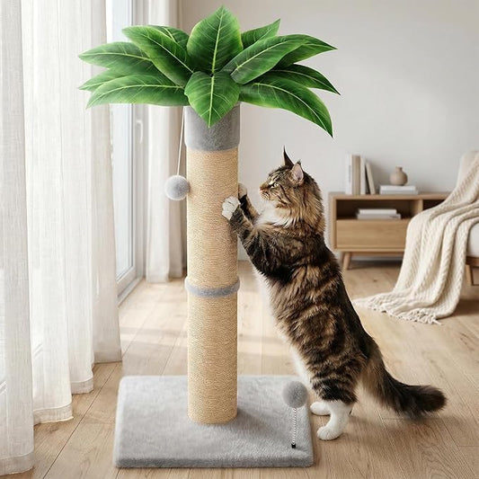 XiaZ Cat Scratching Post 34 Inches Tall, Cat Tower Scratcher Extra Wide 15.8" Stable Base with 2 Interactive Toy Balls, Premium Natural Sisal Pad for Small, Medium Large Cats (Light Gray, 4.5in)