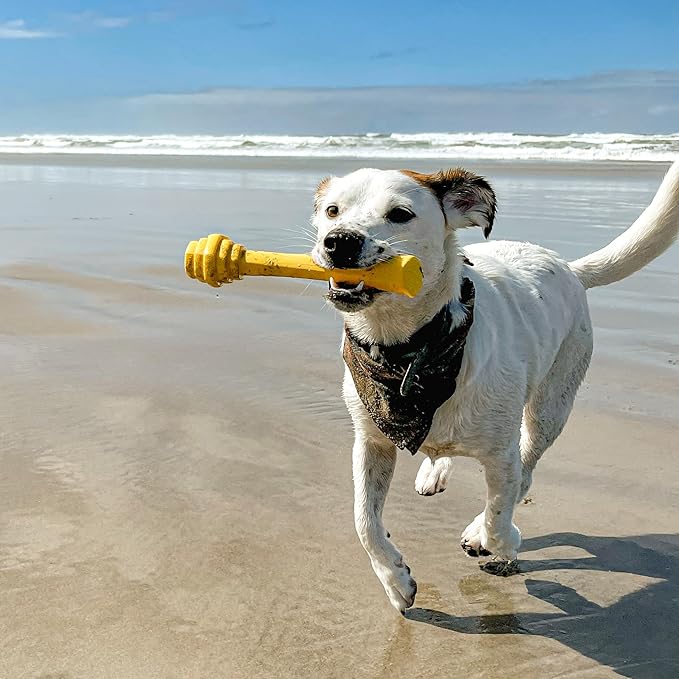 PROJECT HIVE ·PET COMPANY· - Hive Dog Fetch Stick for Large Breeds - Dog Stick Toy - Floats in Water - Treat Dispenser Toy - Durable and Tough - Made in The USA
