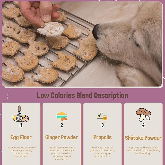 BoneItUp Dog Treats Mixes for Baking – Low Calorie Dog Treat Baking Mix with Nutrient-Rich Ingredients – Easy to Bake Puppy Cake Mix – 10 oz Pack for All Age Groups