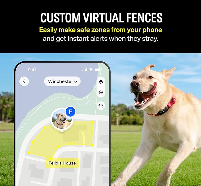 Fi Series 3 Smart Dog Collar - GPS Dog Tracker and Activity & Health Monitor, Waterproof, LED Light, Escape Alerts, Nationwide Coverage [Free 1 Year Membership] (Yellow, Small)