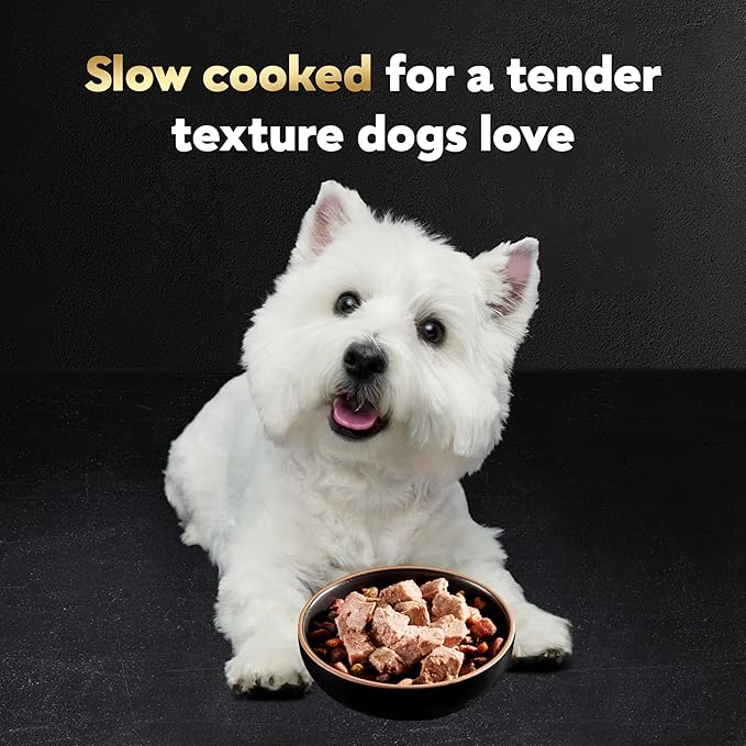 Cesar Wet Dog Food Classic Loaf in Sauce, Breakfast and Dinner with Grilled Steak & Eggs Flavor, and Chicken & Liver Flavor, 3.5 oz. Easy Peel Trays, Variety Pack 24 Count (Pack of 1)