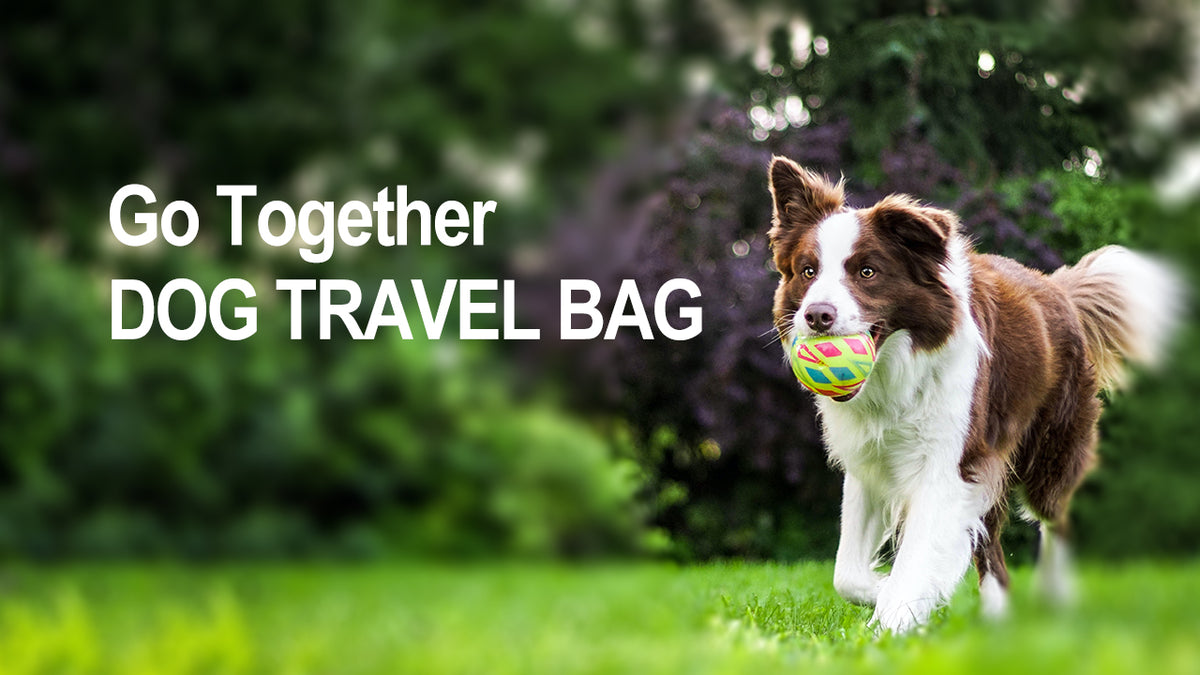 Modoker Weekend Dog Travel Bag Set with 2 Food Bags, | Travel Essentia - Image 8
