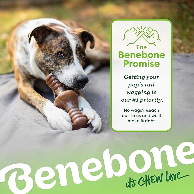 Benebone Zaggler Rolling Dog Chew Toy for Aggressive Chewers, Real Bacon, Made in USA, Medium